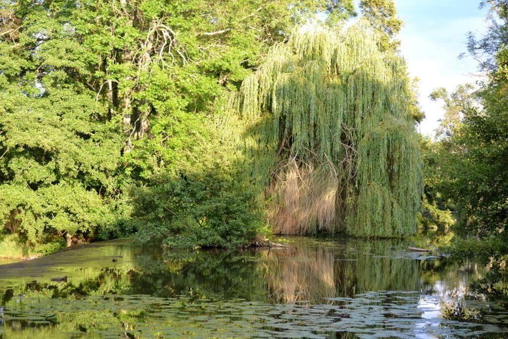 فيلا Magnifique Moulin Proche Chablis, Jacuzzi Et Riviere Annay-sur-Serein المظهر الخارجي الصورة