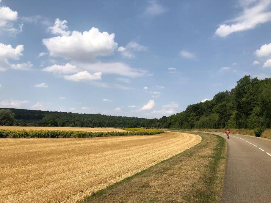 فيلا Magnifique Moulin Proche Chablis, Jacuzzi Et Riviere Annay-sur-Serein المظهر الخارجي الصورة