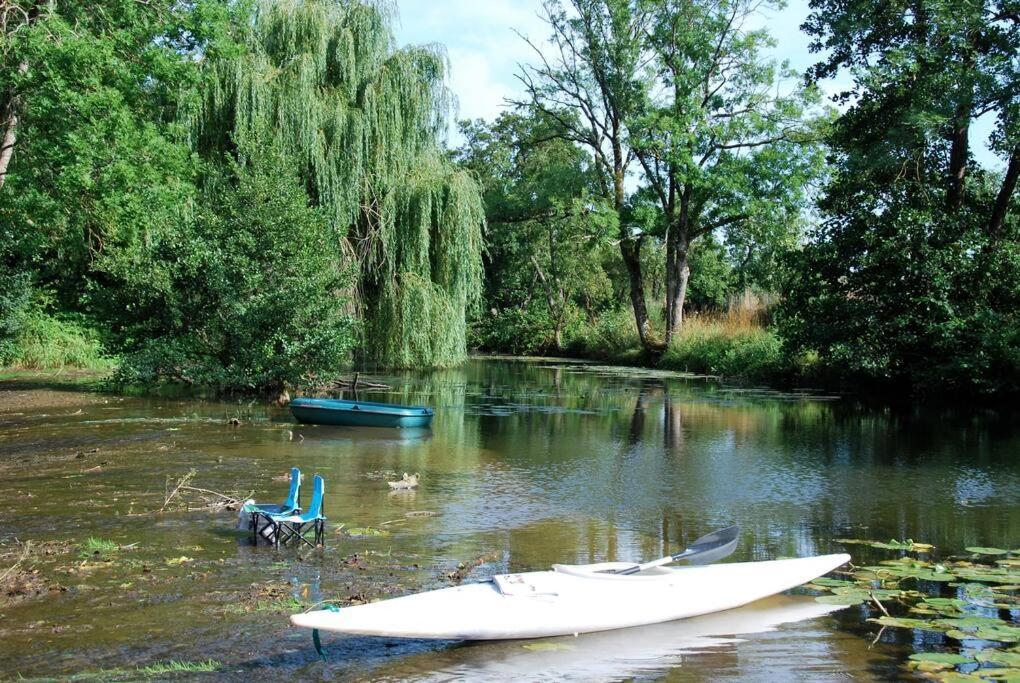 فيلا Magnifique Moulin Proche Chablis, Jacuzzi Et Riviere Annay-sur-Serein المظهر الخارجي الصورة