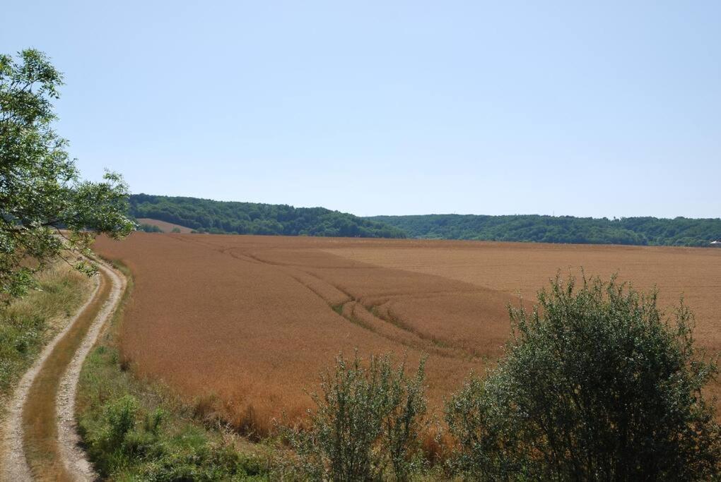 فيلا Magnifique Moulin Proche Chablis, Jacuzzi Et Riviere Annay-sur-Serein المظهر الخارجي الصورة
