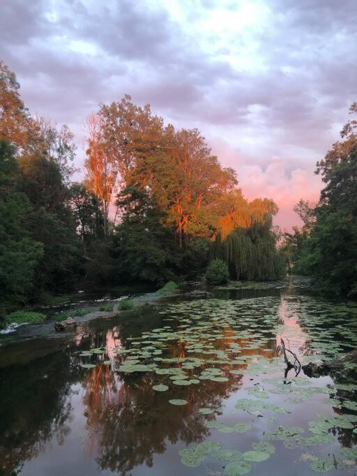 فيلا Magnifique Moulin Proche Chablis, Jacuzzi Et Riviere Annay-sur-Serein المظهر الخارجي الصورة