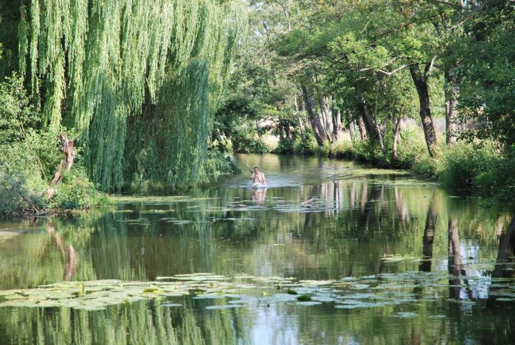 فيلا Magnifique Moulin Proche Chablis, Jacuzzi Et Riviere Annay-sur-Serein المظهر الخارجي الصورة