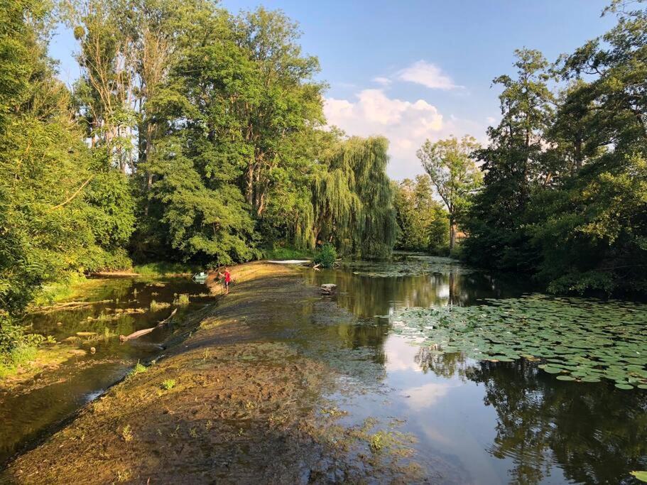 فيلا Magnifique Moulin Proche Chablis, Jacuzzi Et Riviere Annay-sur-Serein المظهر الخارجي الصورة