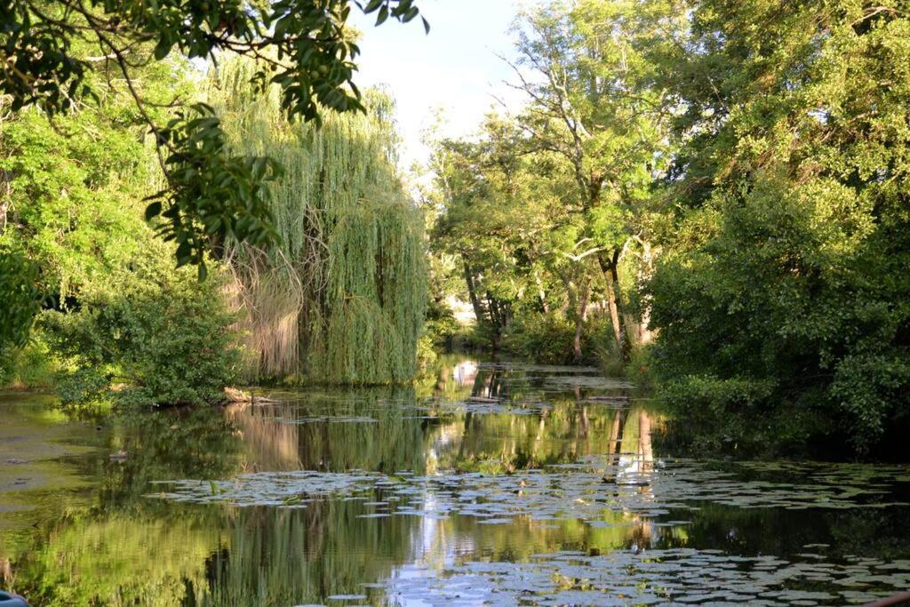 فيلا Magnifique Moulin Proche Chablis, Jacuzzi Et Riviere Annay-sur-Serein المظهر الخارجي الصورة